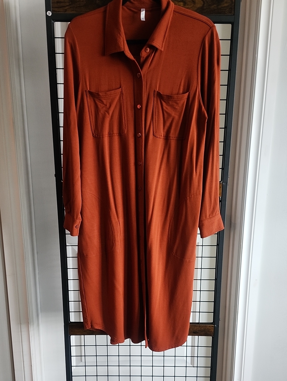 Blue Sky Bamboo Long Button-Front Tunic in Rust with Pockets!